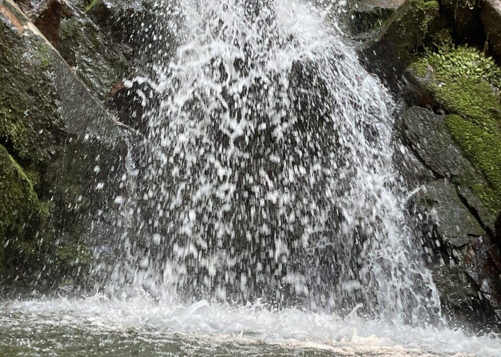鶯の滝2