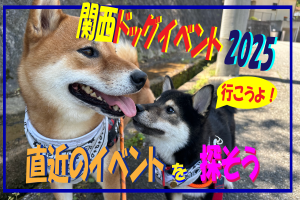 関西ドッグイベント特集2025！愛犬とのお出かけ情報が満載【随時更新】