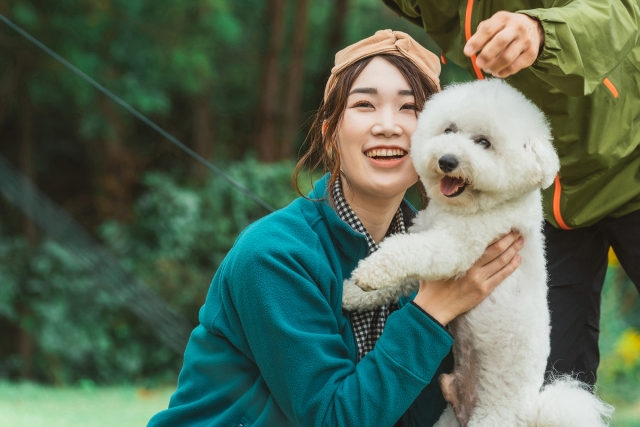 犬連れ旅行　ポイント