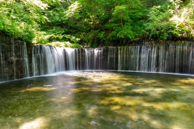 軽井沢・八ヶ岳・蓼科