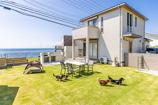 Dog Villa Happiness