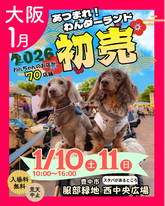 あつまれ！わんダーランド 初売