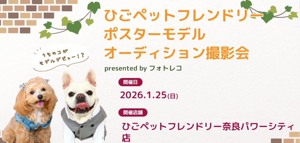フォトレコペット撮影会