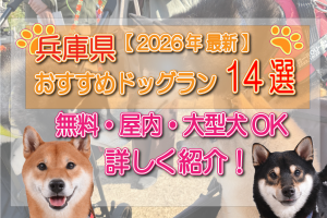 兵庫県　ドッグラン　おすすめ