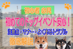 ドッグイベント　初心者　注意点　マナー　トラブル
