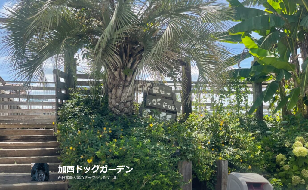 加西ドッグガーデン