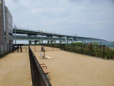 りんくう中央公園