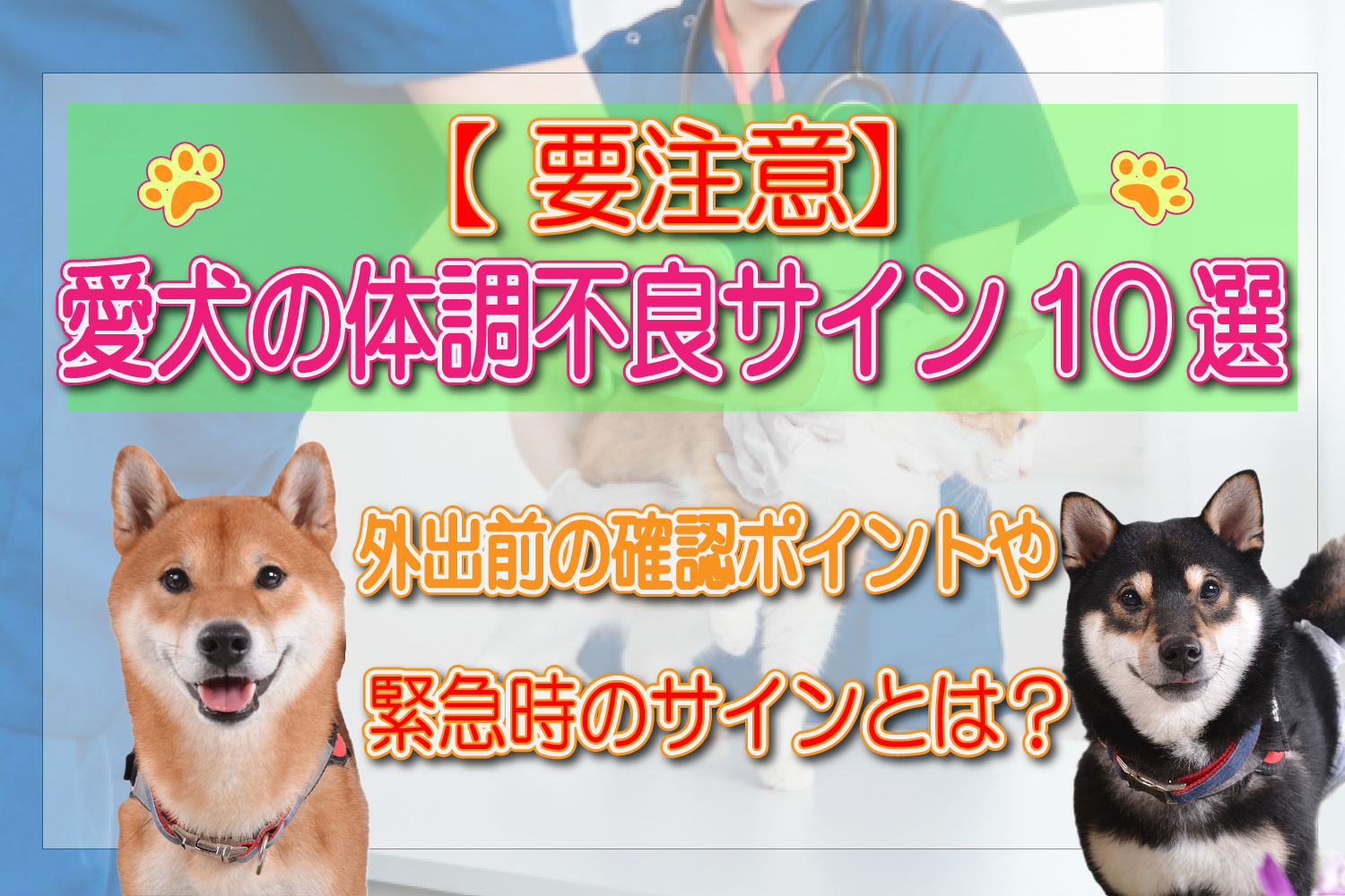 犬　体調不良　サイン　緊急