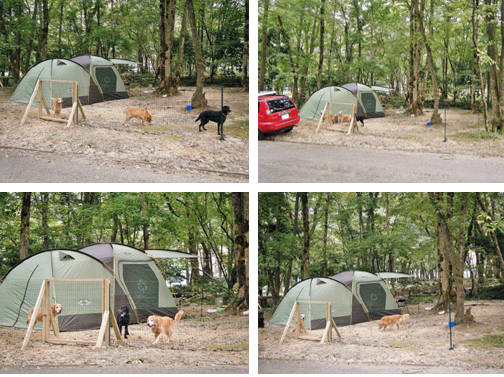 奥琵琶湖キャンプ場
