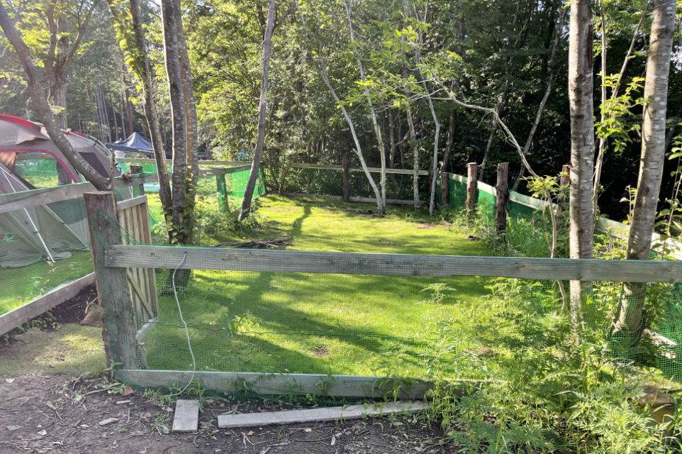 琵琶湖ヒルズオートキャンプ場