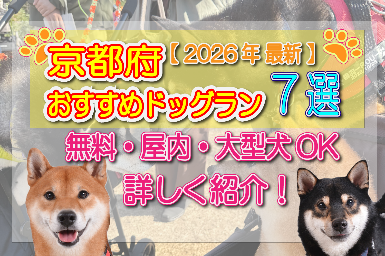 京都　おすすめ　ドッグラン