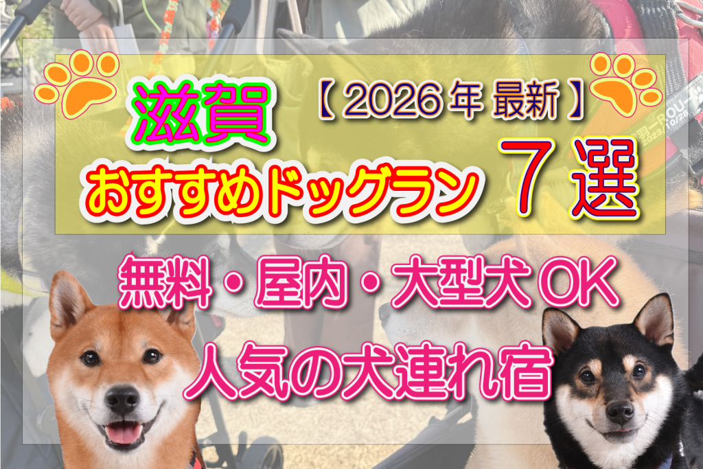 滋賀　ドッグラン　おすすめ