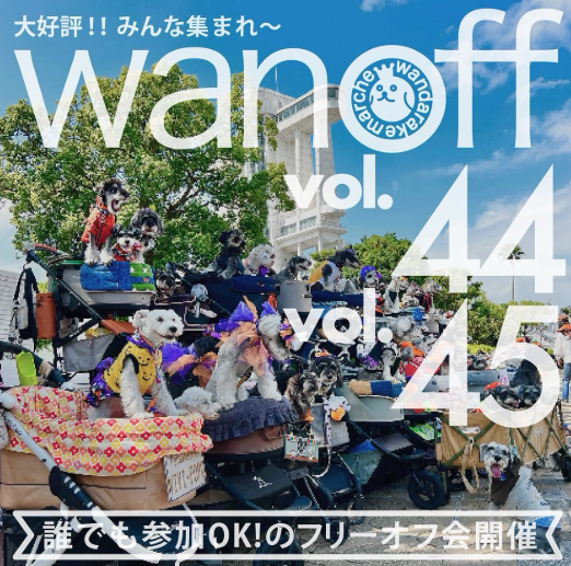 wandarake marche 49&50