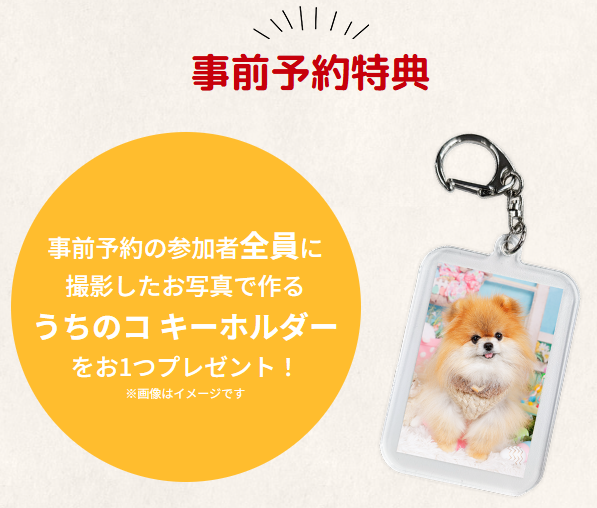 フォトレコペット撮影会