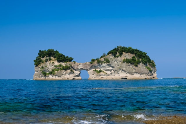 和歌山　ドッグカフェ