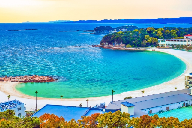 和歌山　ドッグカフェ