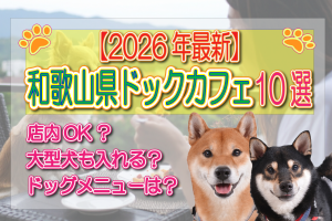 和歌山　人気　ドッグカフェ　おすすめ