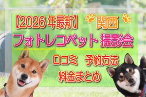 フォトレコペット撮影会