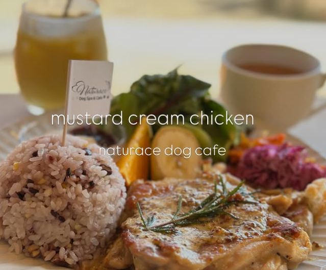 ナチュラス ドッグ