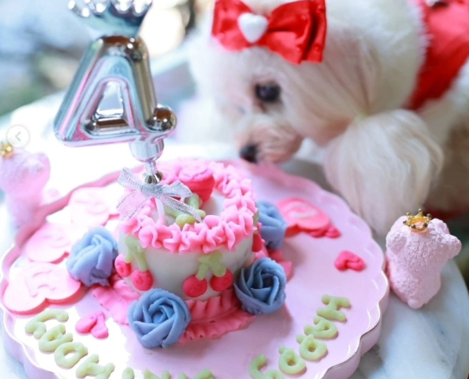 お寺ダイニング観音寺