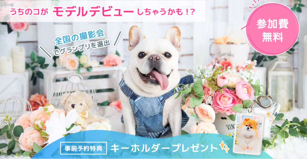 フォトレコペット