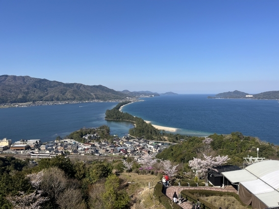 犬連れ 京都