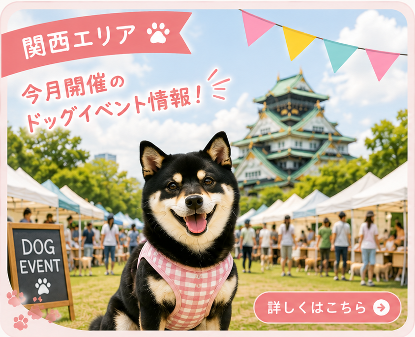 関西 ドッグイベント