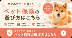 ペット保険　バナー