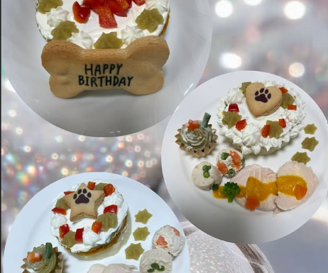 Dog Cafe INU-戌-