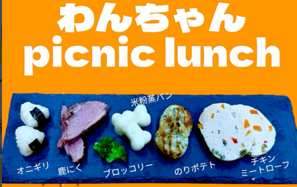 ドッグラン&カフェ With わんっ!