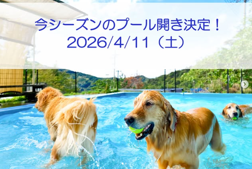 パートナーズハウスゆあさ