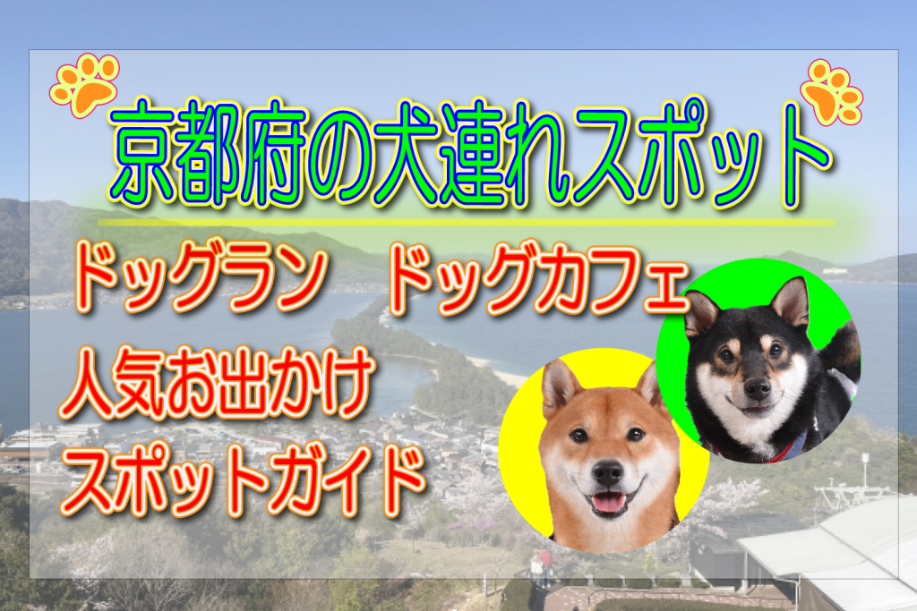 京都府 犬連れスポット