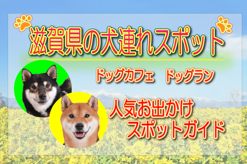 滋賀県 犬連れスポット