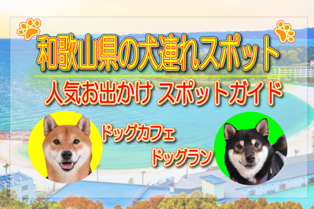和歌山県　犬連れスポット