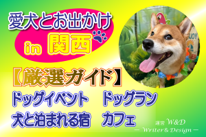 関西　犬　お出かけ