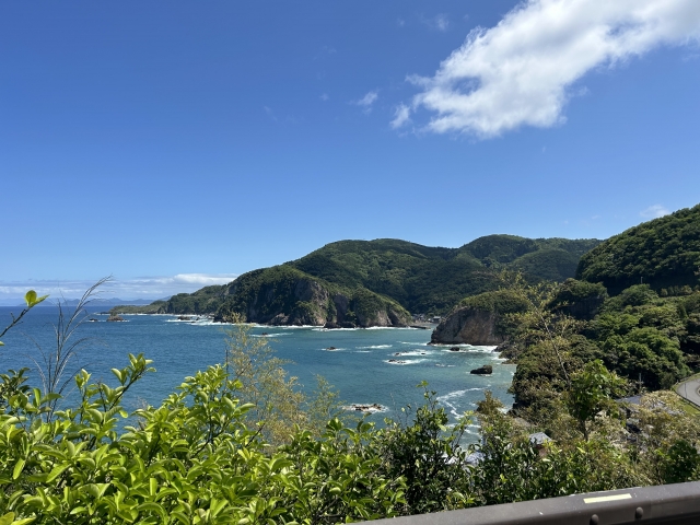 犬連れ 京都
