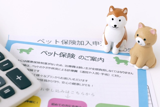 ペット保険