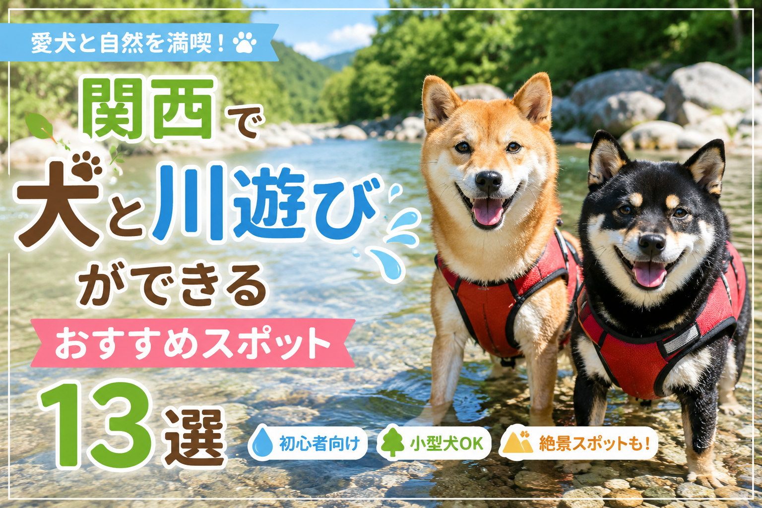 関西 犬連れ 川遊び
