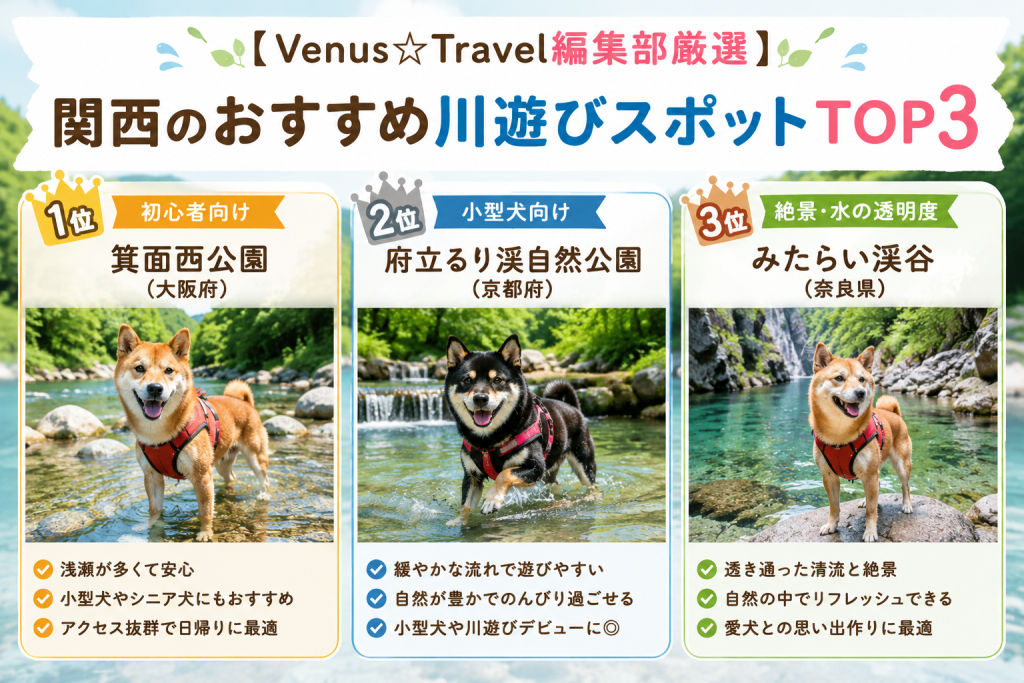 犬 川遊び おすすめ スポット