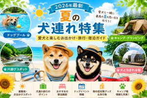 夏　犬連れ　関西