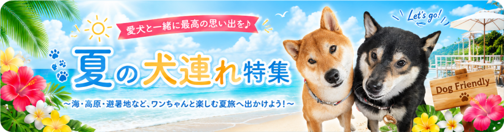 夏 犬連れ 関西