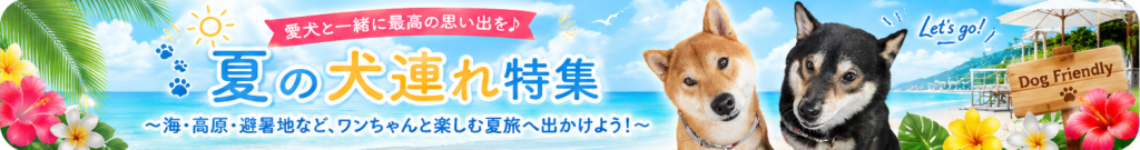 夏 犬連れ 関西