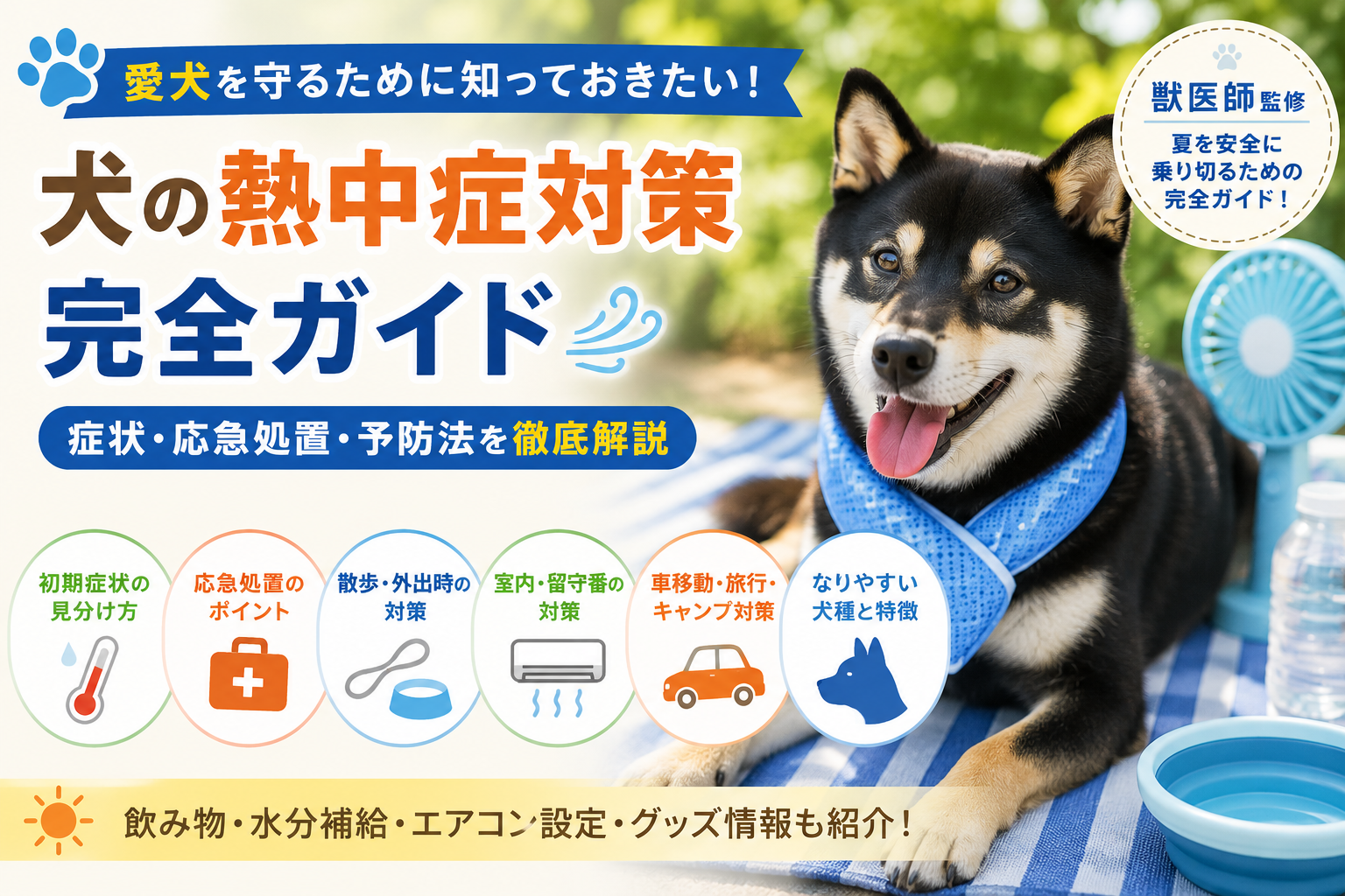 犬 熱中症対策 症状 応急処置 予防法