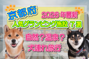 京都府　グランピング　犬