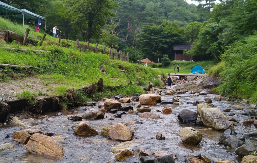 山城町森林公園