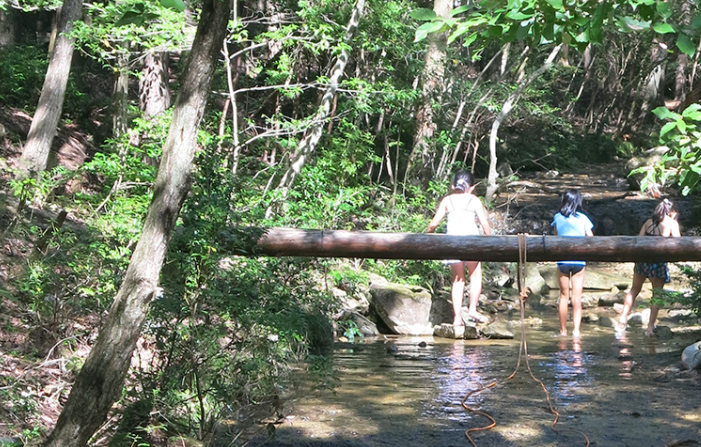 兵庫県立なか・やちよの森公園